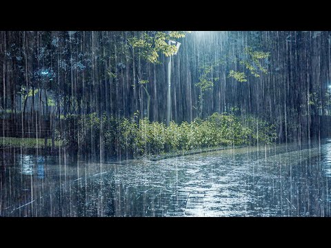 睡前必听的睡眠雨声ASMR！暴雨声助力耳鸣缓解，让你瞬间进入舒适休息与安稳睡眠