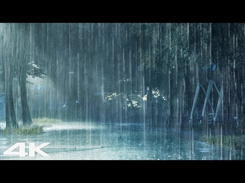 夜雾公园雷声大雨_ 3 分钟内入睡