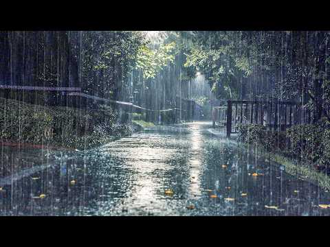 失眠救星！自然睡眠音乐＋舒适雨声，让你的心灵瞬间平静，还能缓解耳鸣