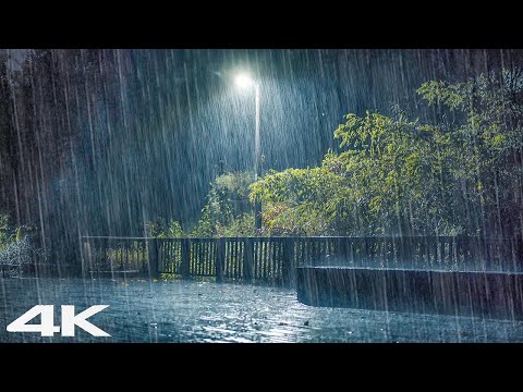 让雨水伴你入睡 _ 暴雨 ASMR，深度睡眠，失眠缓解