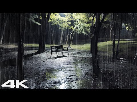 ?在 3 分钟内战胜失眠，平静的雨和夜晚美丽的公园，下雨助眠