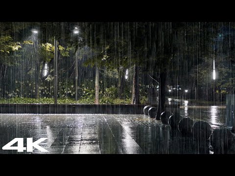 晚上公园大雨雷雨，99%的人都会很快入睡。
