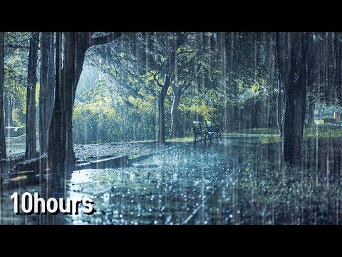 [10小时] 想立即入睡进入深度睡眠吗？大雨声助你轻松克服失眠