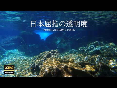 4K 圆原川自然环境音太治愈了！沉浸式水中影像＋真实水中音，瞬间放松身心｜Healing underwater footage（治愈水下影像）｜睡眠、工作、冥想必备