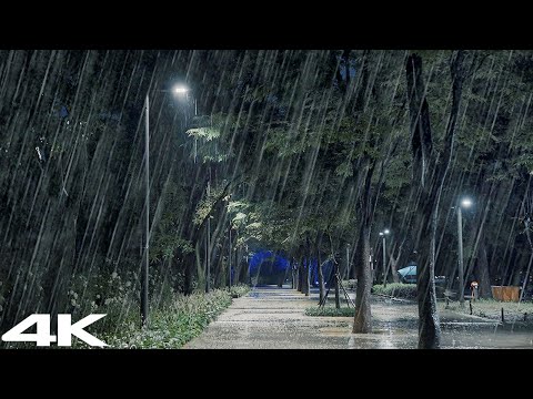 克服失眠的清爽早晨，温柔的雨声
