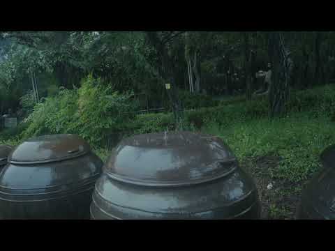 平静的雨声，助你深度睡眠，缓解压力并获得内心平静。