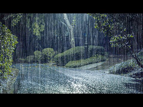 奇迹般瞬间入睡体验！完全治愈失眠＋缓解耳鸣＋暴雨雨声 ASMR 惊人效果