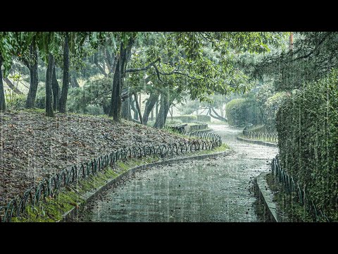 舒适雨声助你像婴儿一样睡觉 _ 轻松摆脱失眠、耳鸣与焦虑，今晚就能安睡