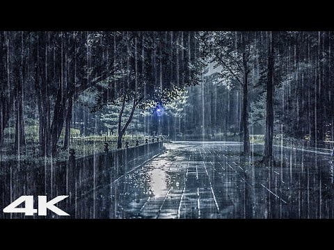 4K ASMR _ 轻松入睡 _ 大雨强雷_ 适合睡觉的雨声