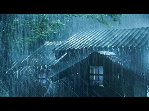 真的只需3分钟就能快速入睡？夜间雷暴＋暴雨＋震撼强雷声＋强风沉浸助眠