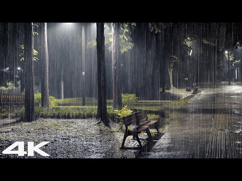 公园里下着大雨，3 分钟后即刻深度睡眠
