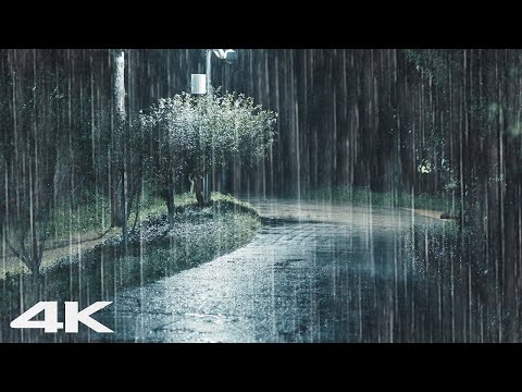 再见压力和失眠 _ 晚上公园下大雨_ ASMR