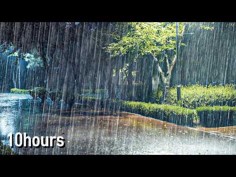 [10小时] 整夜雨声播放！失眠缓解、快速入睡必备神器