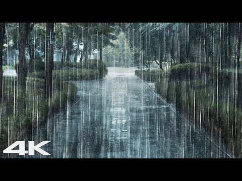 解除睡眠所有问题 _ 大雨声环绕公园