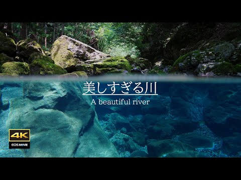 【圆原川4K自然环境音】治愈水中影像＋水中音放松，让你瞬间入睡、专注工作、深度冥想